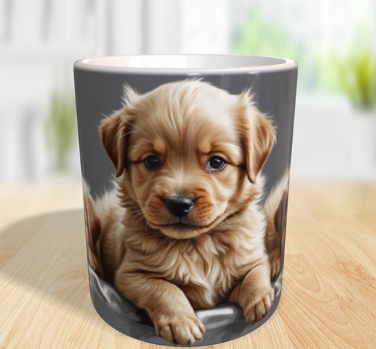 "Dreifacher Flauschalarm – Kuscheln garantiert!" 🐾❤️
